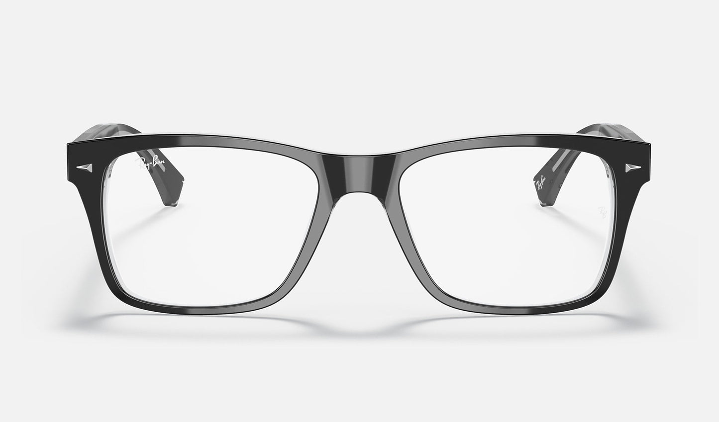 RB5308 Optics