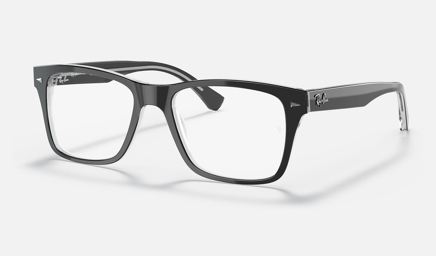 RB5308 Optics